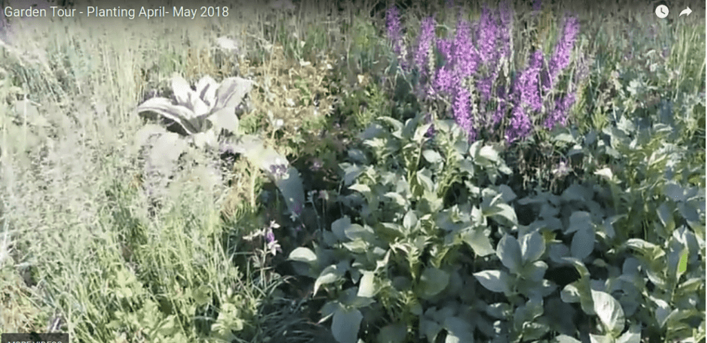 Spring and planting season