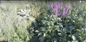 Spring and planting season
