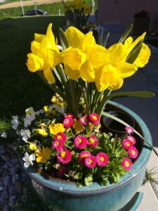 June Garden Tour