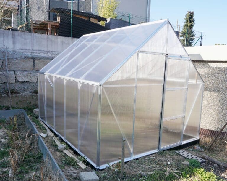 Main reasons to build a greenhouse