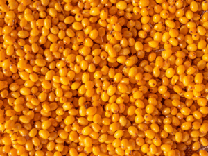 Seabuck thorn Berry Recipes