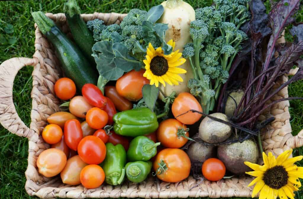 Tips to eat organic on budget