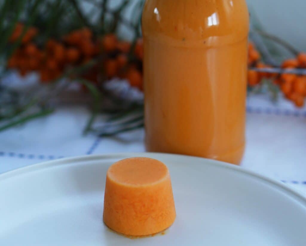Top 10 Sea Buckthorn recipes- Juicing