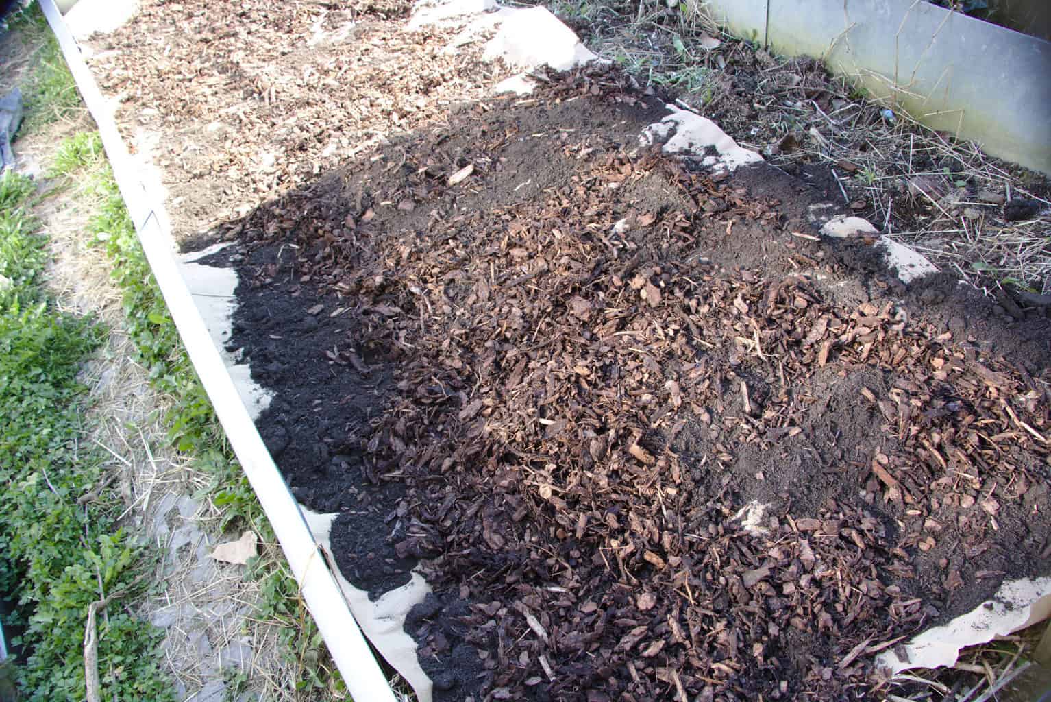 No dig garden beds