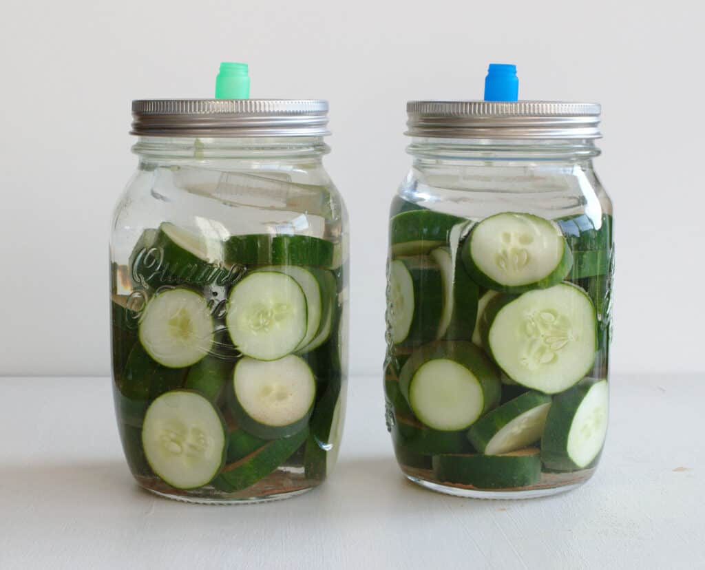 Easy homemade fermented pickles