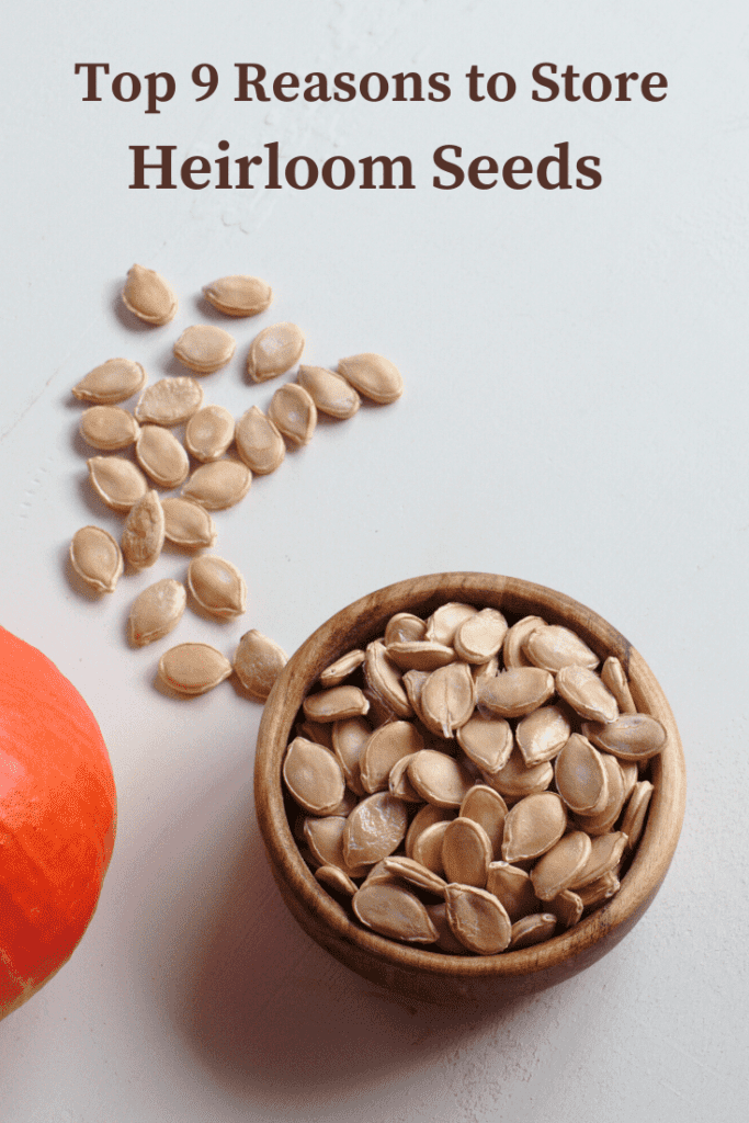 Top Reasons to Store Heirloom Seeds