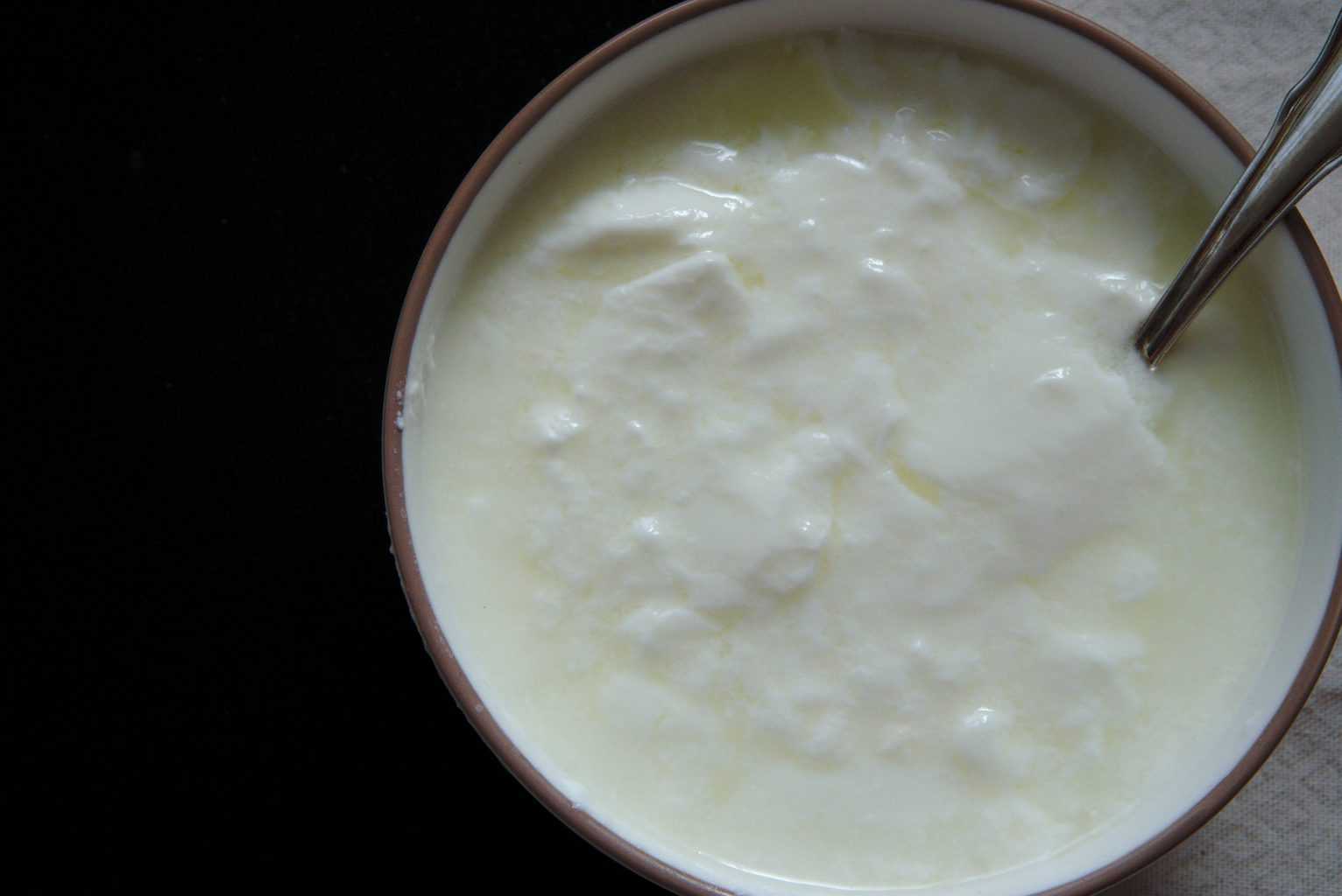 Homemade Yogurt