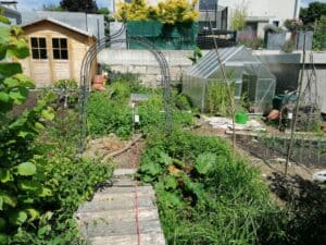 Tips to start a garden