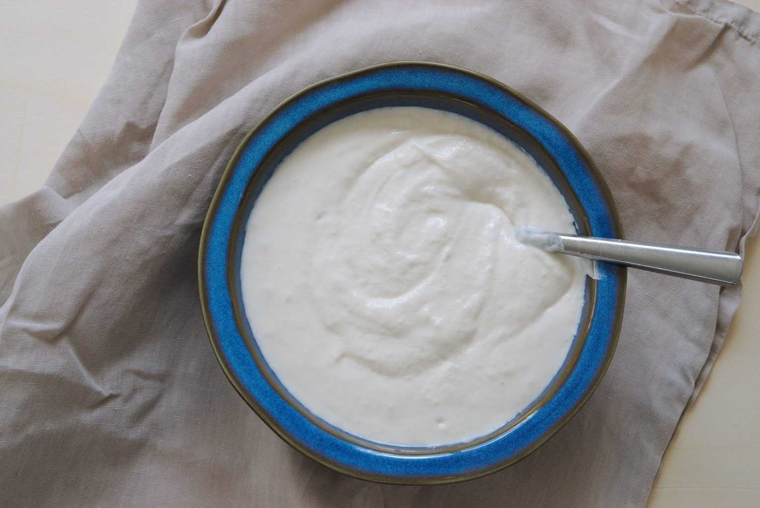 Fermented Idli batter
