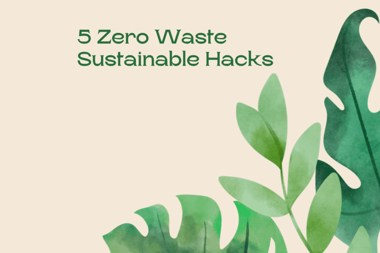 Zero Waste Sustainable Hacks