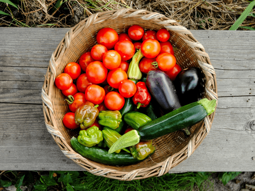 Late Summer Garden Harvest
