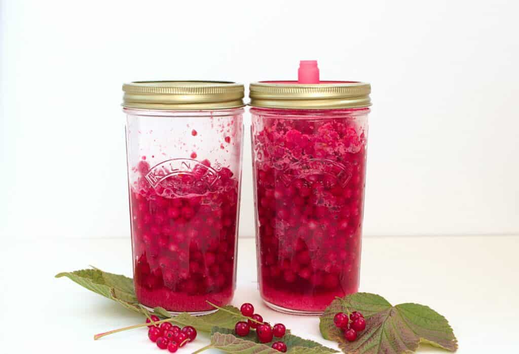 Lacto Fermented Red Currants