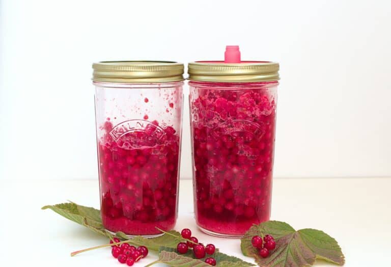 Lacto Fermented Red Currants