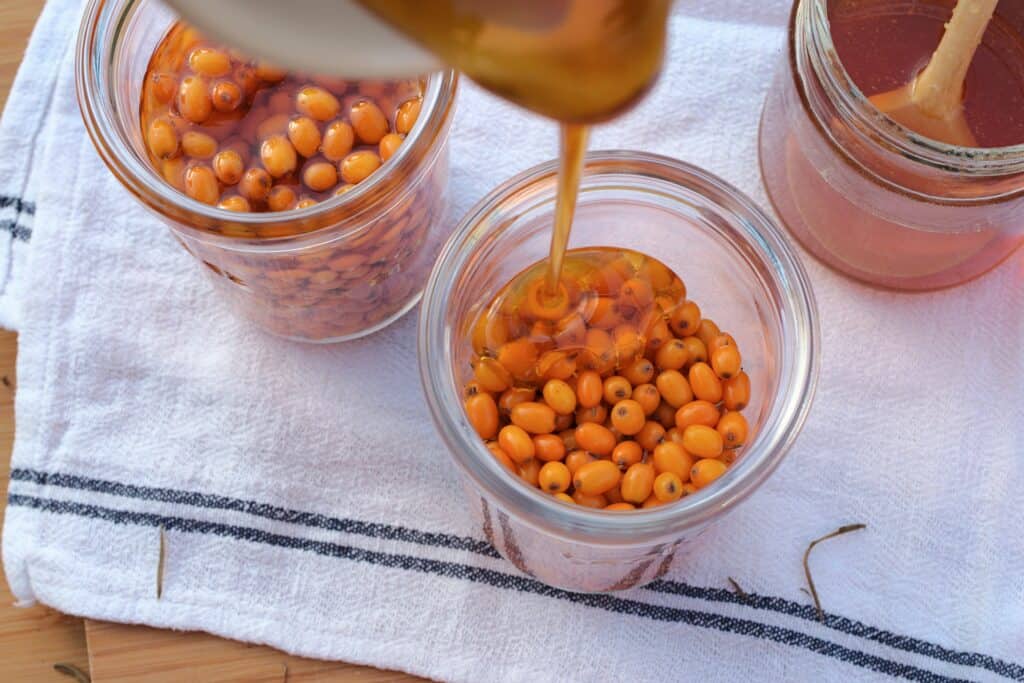 Sea Buckthorn infused in honey