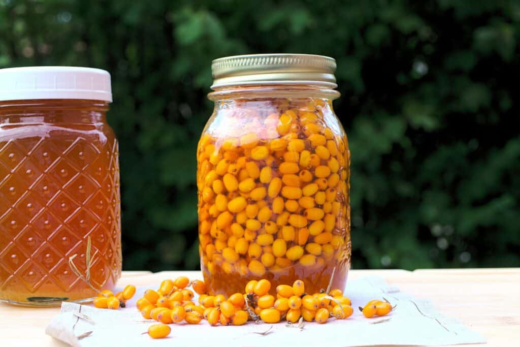 Sea Buckthorn infused in honey