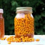 Sea Buckthorn infused in honey