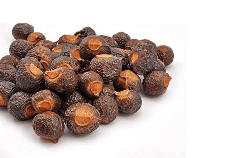 Soap Nuts
