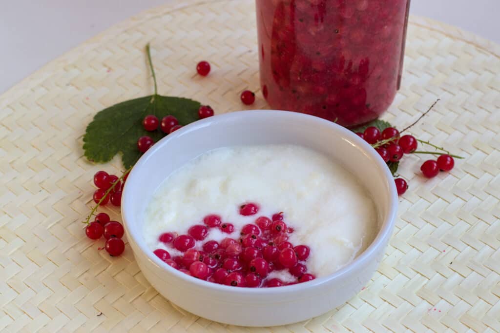 Lacto Fermented Red Currants