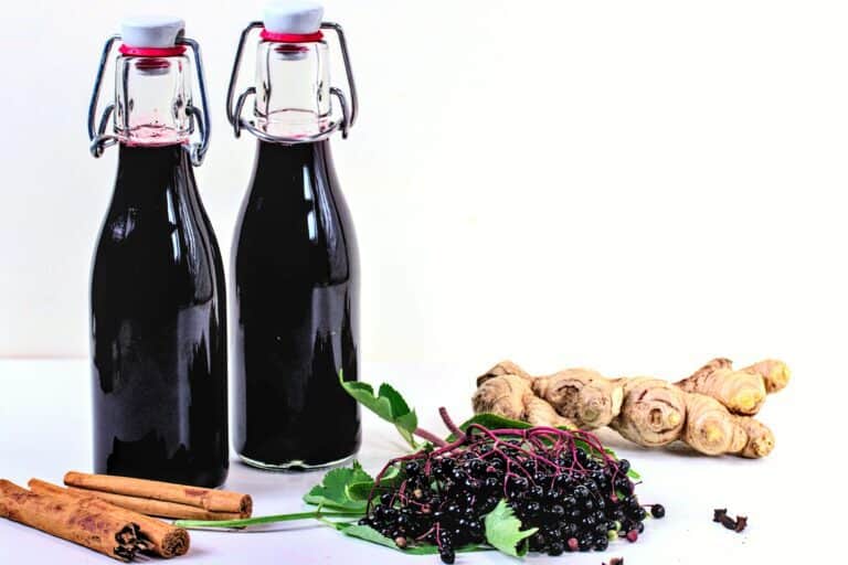 Elderberry Cold and Flu Syrup