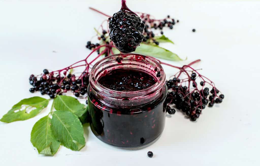 Elderberry compote recipe