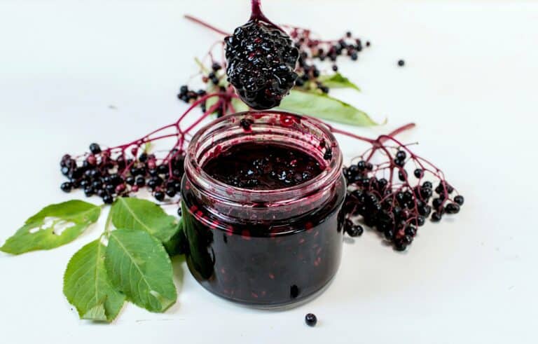 Elderberry compote recipe