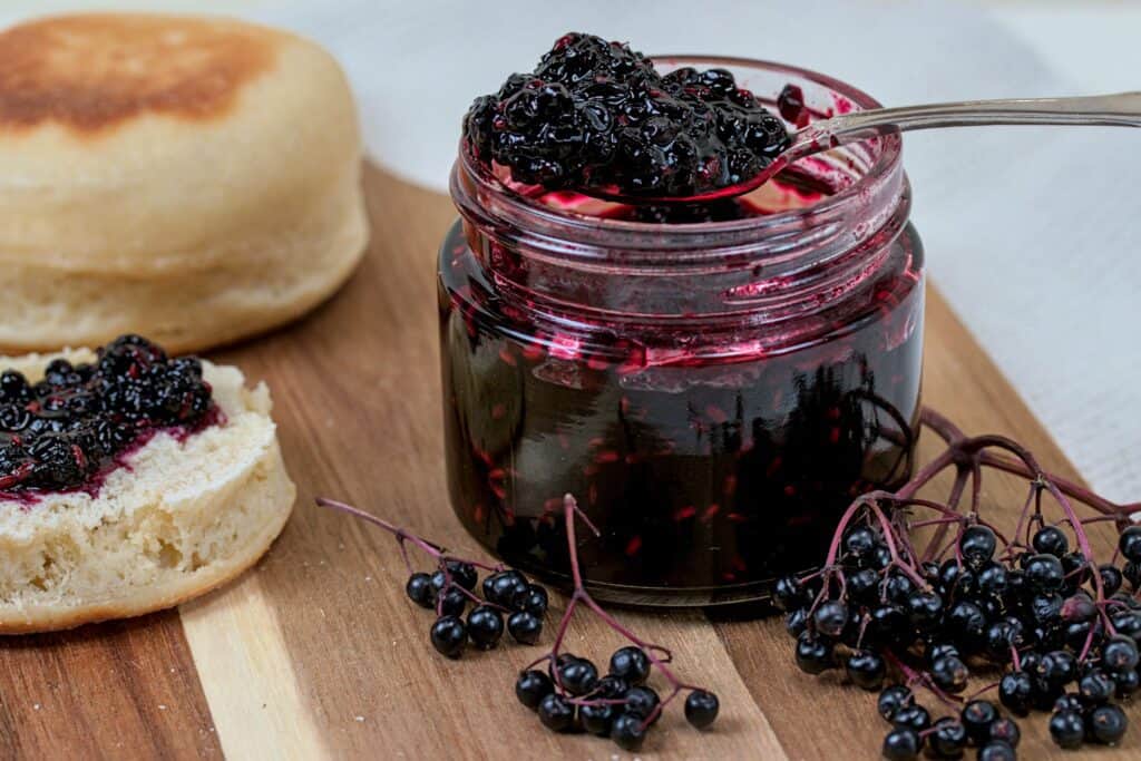 Elderberry compote recipe