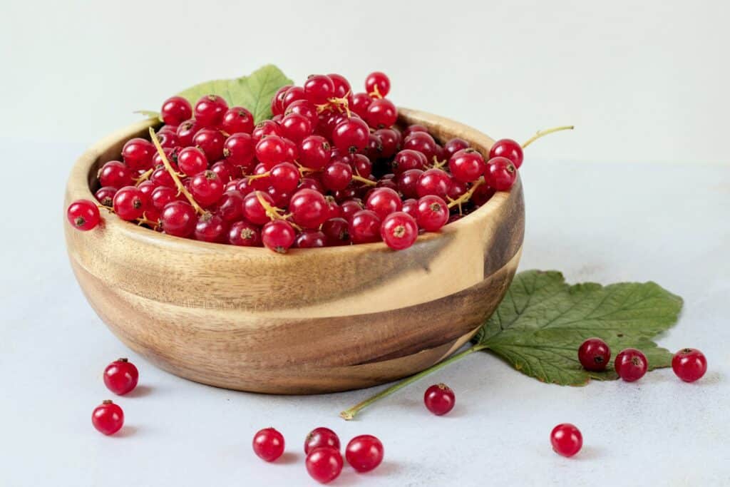 Bowl of Red Currants