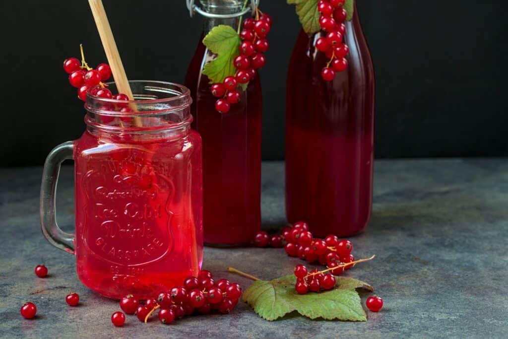 Red Currant Syrup Recipe